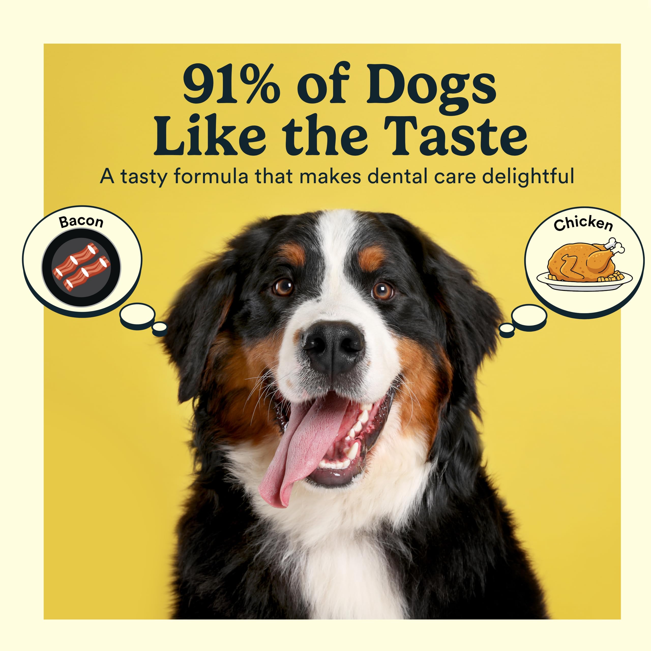 Tubo Jasper con doble enzima listo para cepillado diario de perros.