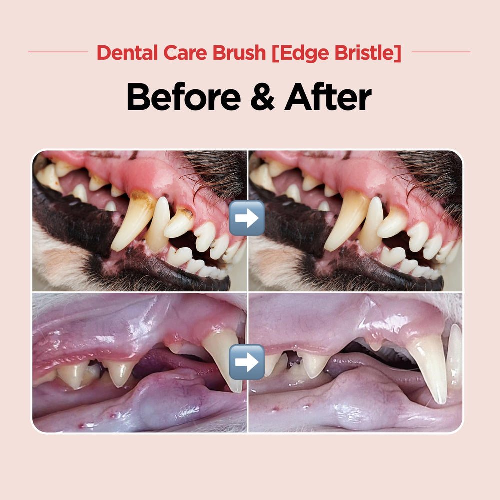 Cepillo dental JAYU PET con ceras bordes diagonales para limpieza entre molares.