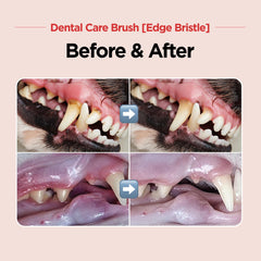 Cepillo dental JAYU PET con ceras bordes diagonales para limpieza entre molares.