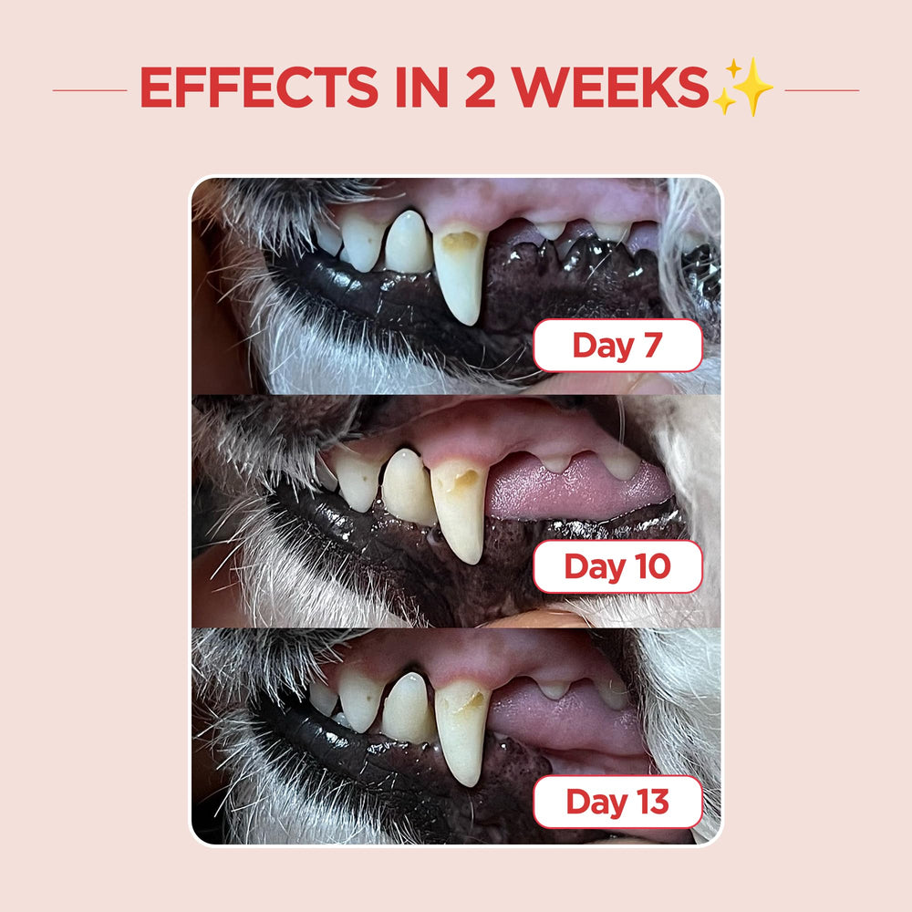 Cepillo dental JAYU PET con control ergonómico para dientes afilados.