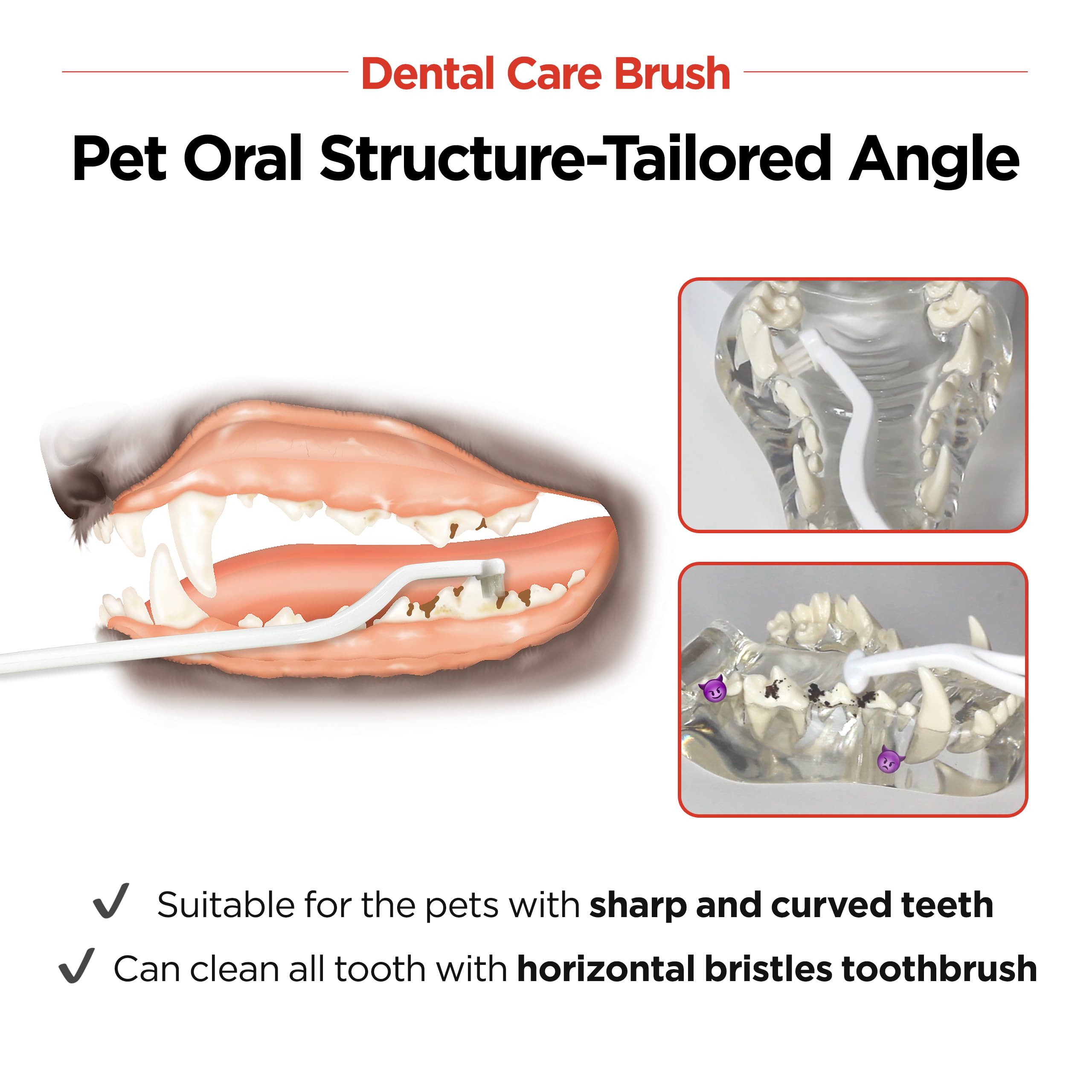 JAYU PET cepillo dental para diseño curvo que facilita el cepillado