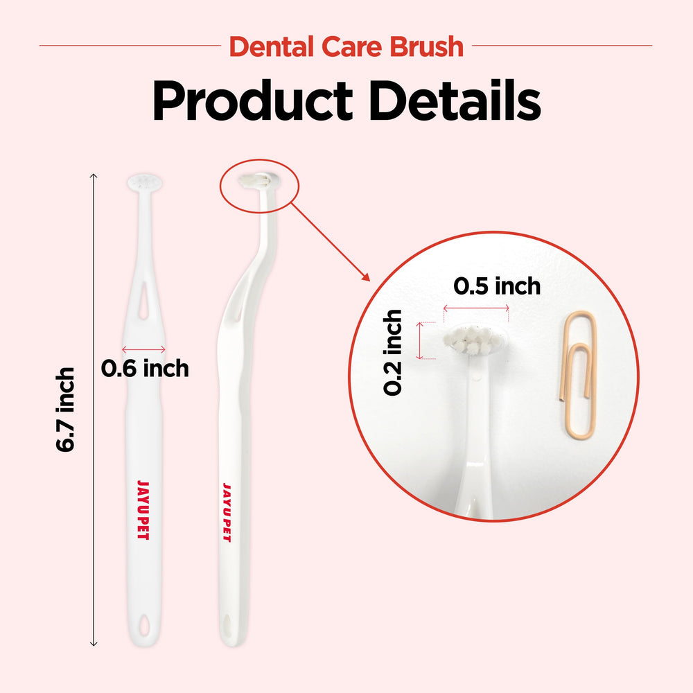 JAYU PET kit limpieza dental para casa