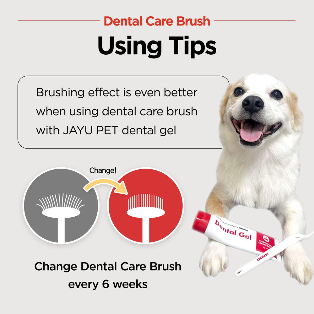 JAYU PET cepillo dental recomendado por veterinarios
