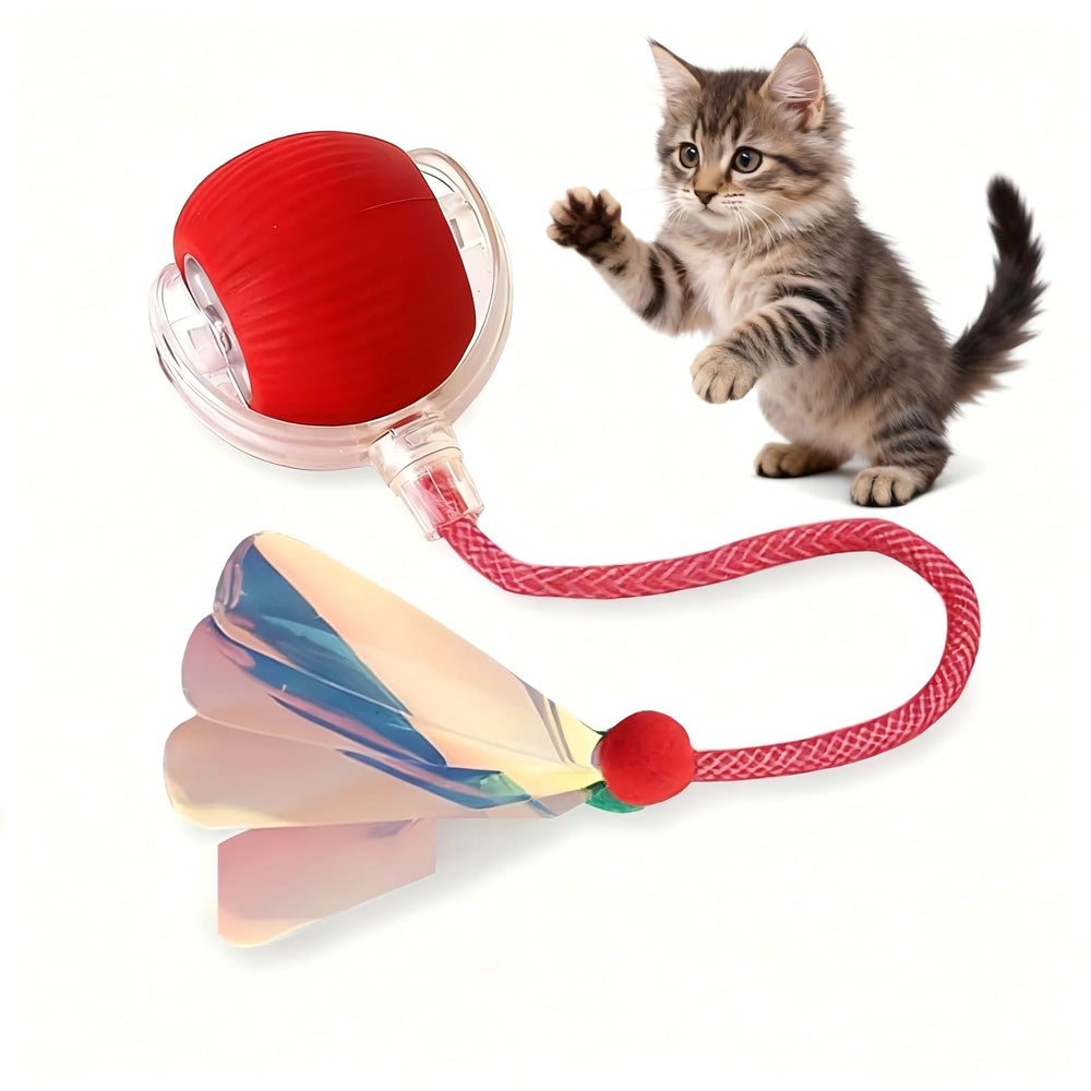 JBD Pelota interactiva para gatos en interiores estimula juego autónomo