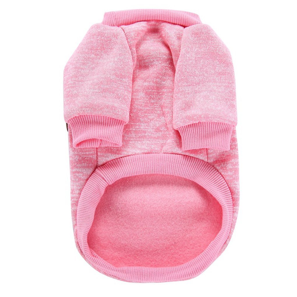 Colores vivos de Jecikelon permiten identificación rápida durante paseos.