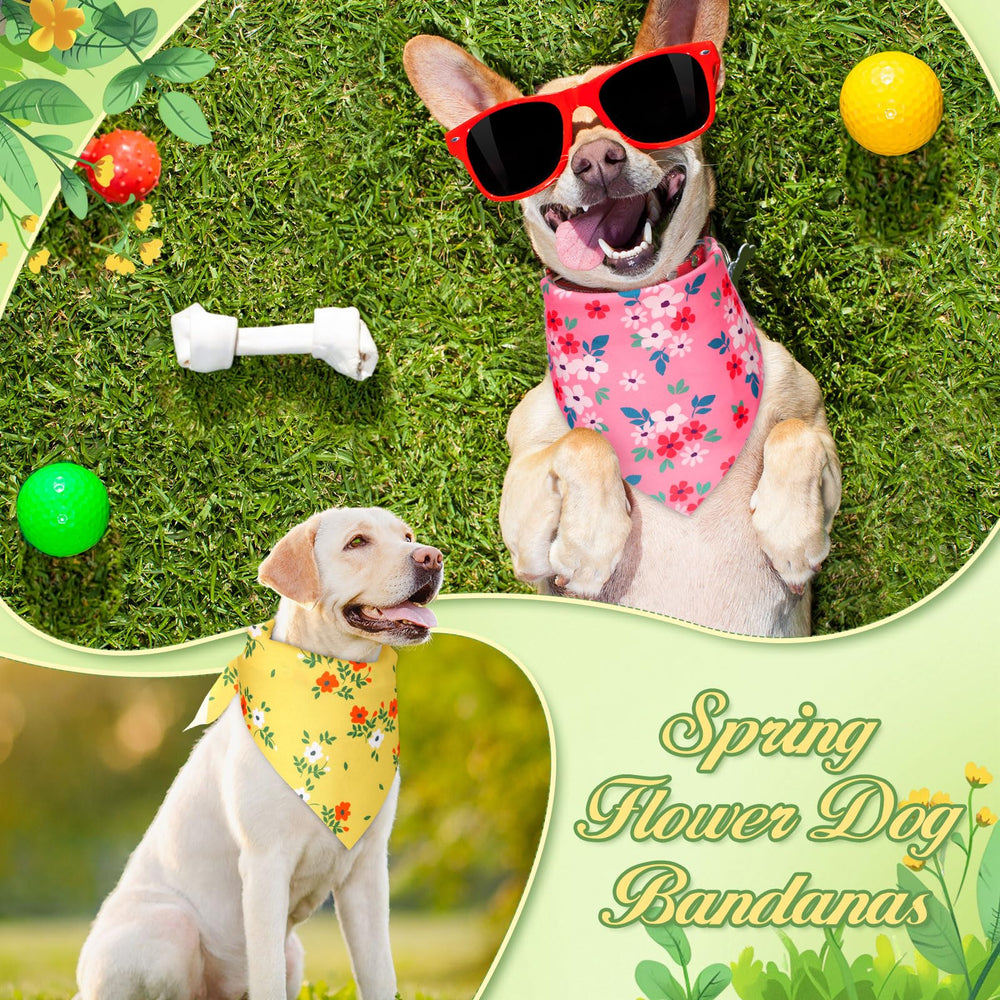 Jeere bandanas para perros: diseños brillantes para fotos y fiestas