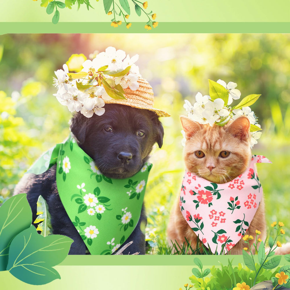 Jeere bandanas para perros: ideal para sesiones de fotos y eventos