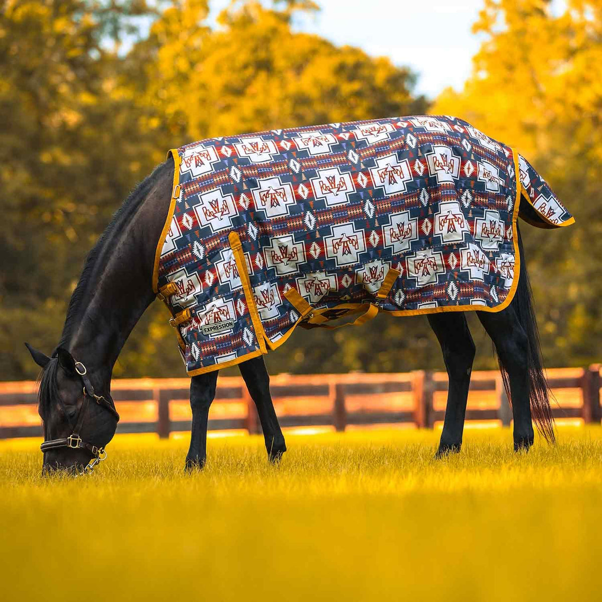 Jeffers Expression 1200D cubre al caballo con manto impermeable para lluvia y barro