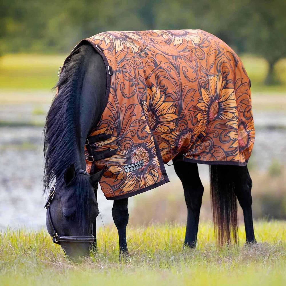 Jeffers Expression en caballo, vista lateral, protege hombros y pecho.
