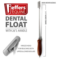 Jeffers flotador dental con cabeza articulada para ángulos en la boca