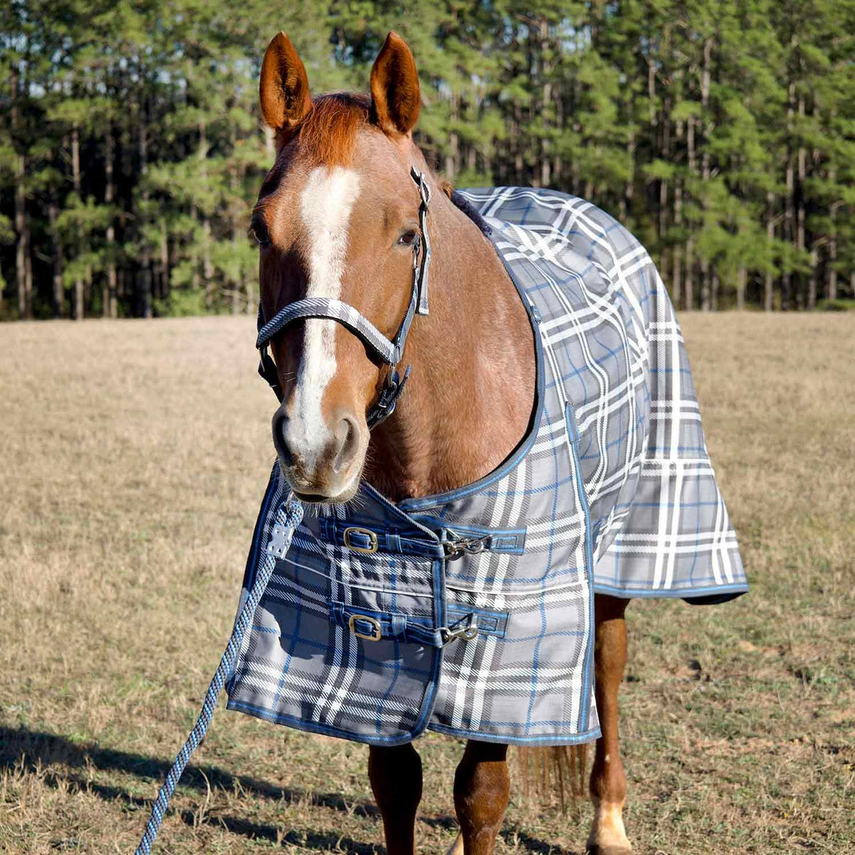 Jeffers manta caballo frente con cierres dobles para ajuste seguro.