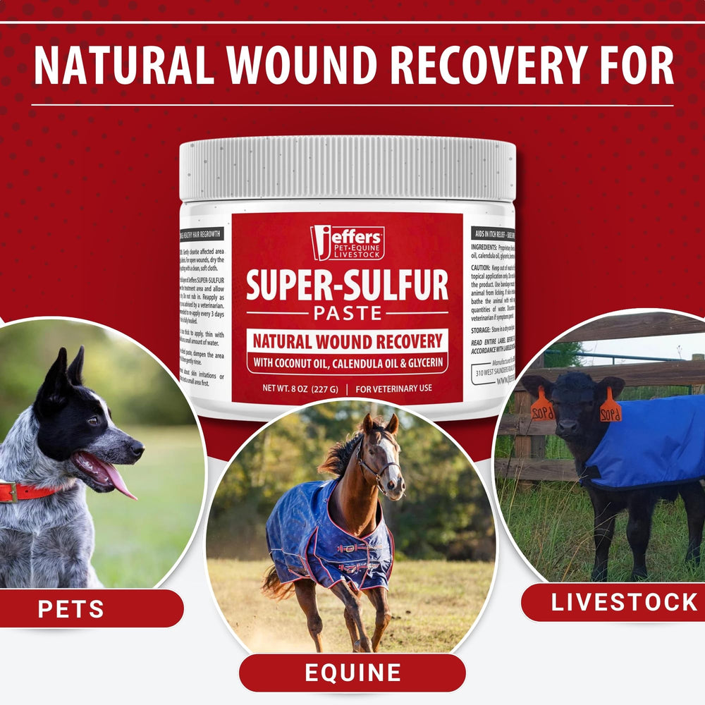 Aplicación en patas y codos con Jeffers Super Sulfur.