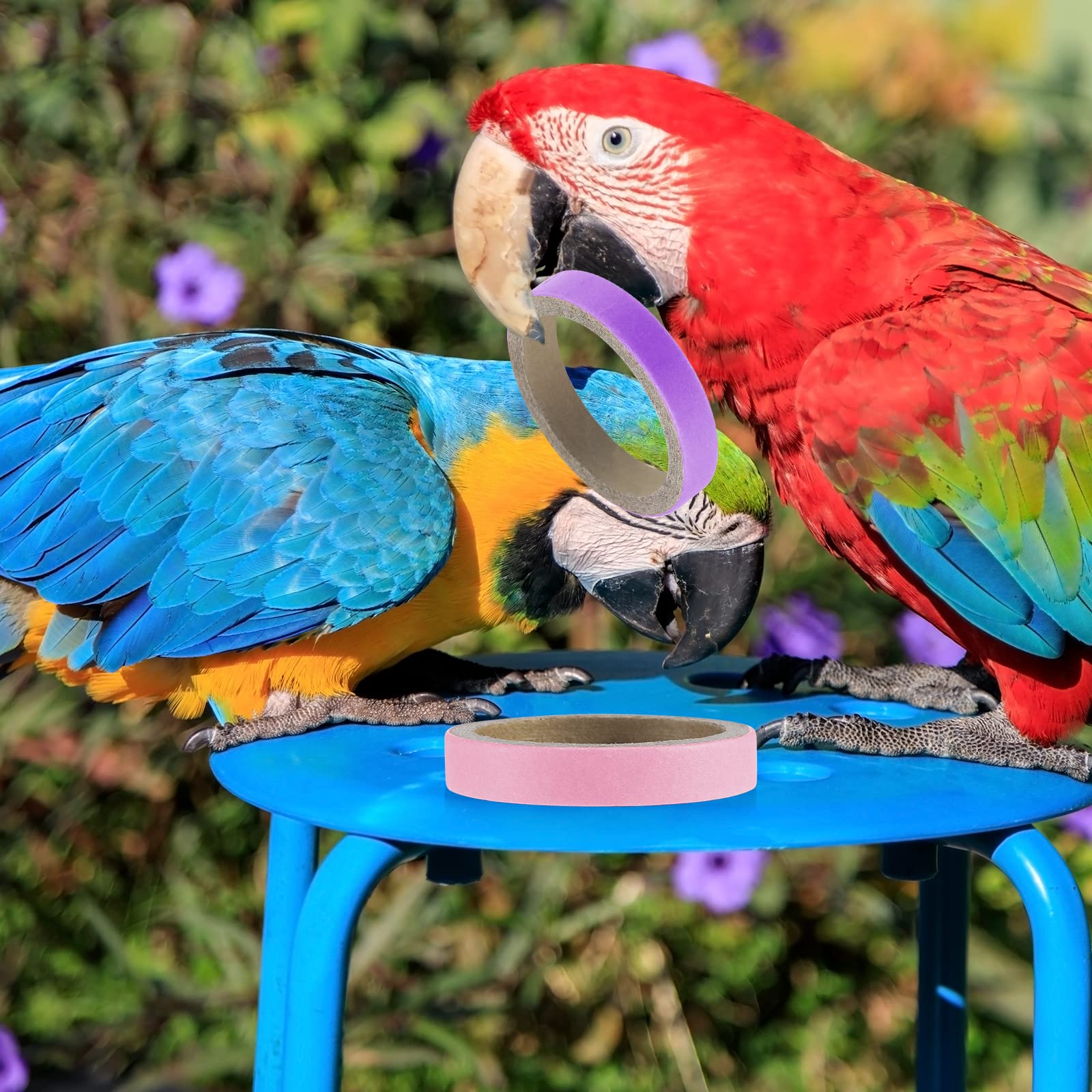 Jenaai: apto para aves pequeños y medianos, ideal para entrenamiento y juego.