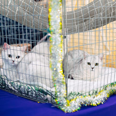 Jetec hamac chat cage avec sangles ajustables et crochets pour installation facile.