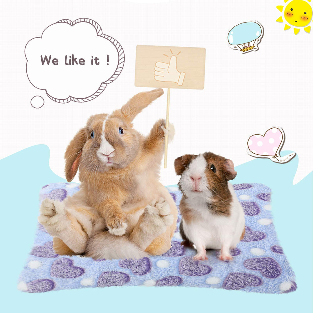 Regalo ideal para amantes de mascotas: muestra cariño con estilo