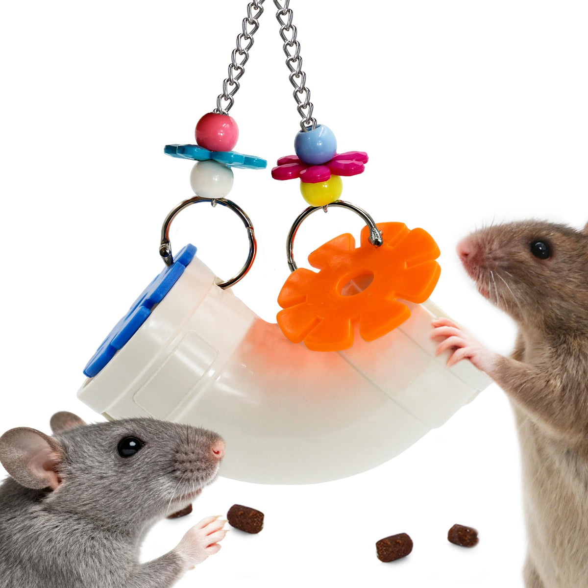 Jevnd rat-enriquecimiento-juguete-apertura-grande fomenta exploración con golosinas
