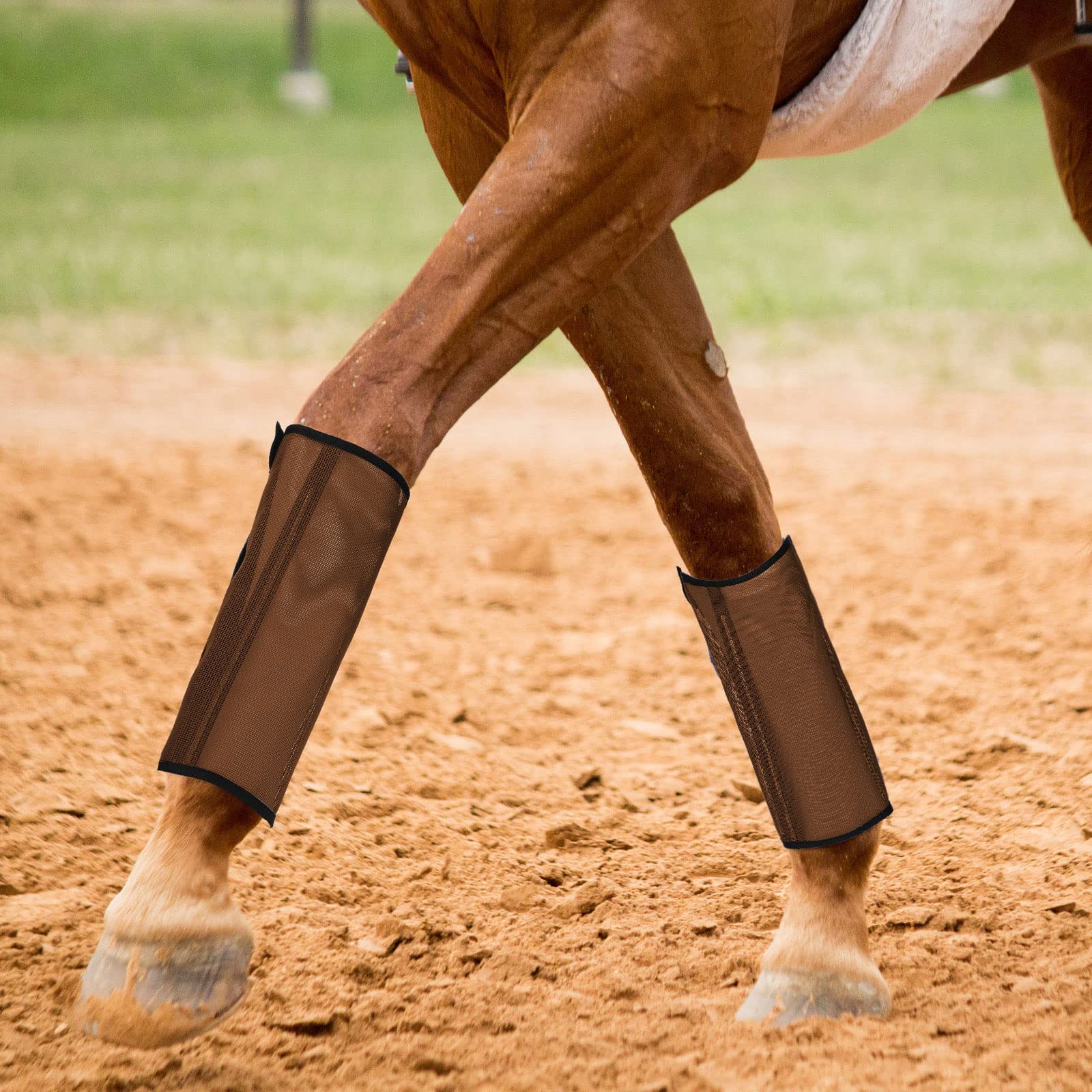 Jexine malla transpirable protege las patas del caballo durante sesiones.