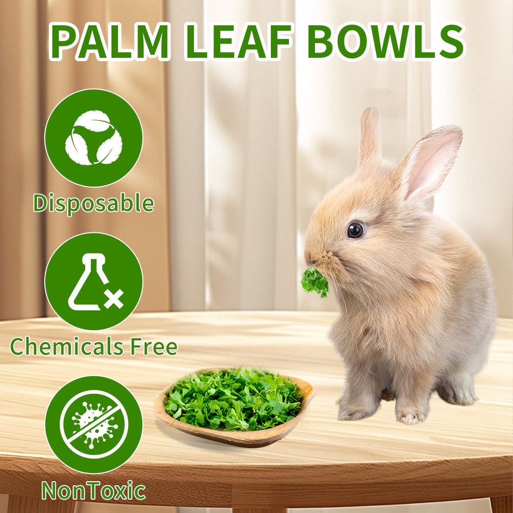 Cuenco biodegradable de palma Jiaxix, opción ecológica para mascotas.
