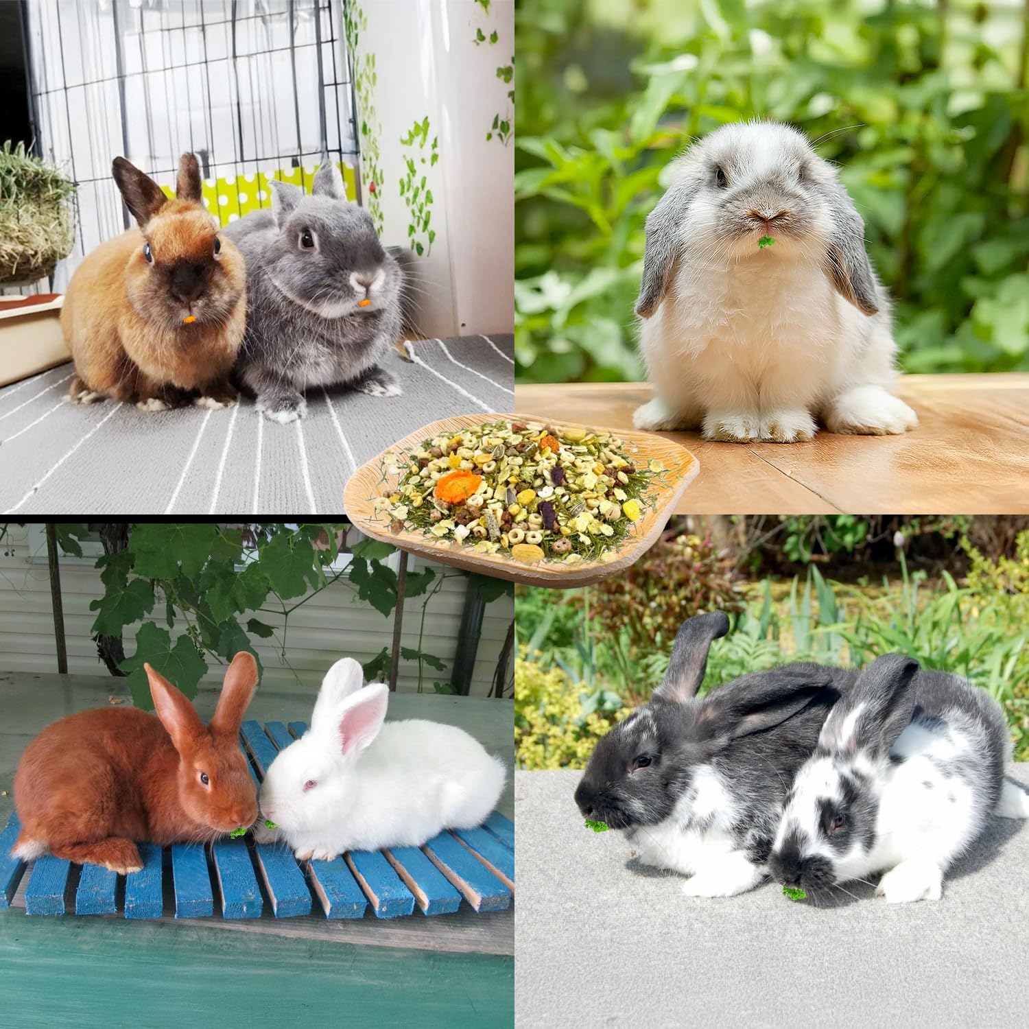 Cuenco Jiaxix para conejos, hámsters y aves, fácil de limpiar.