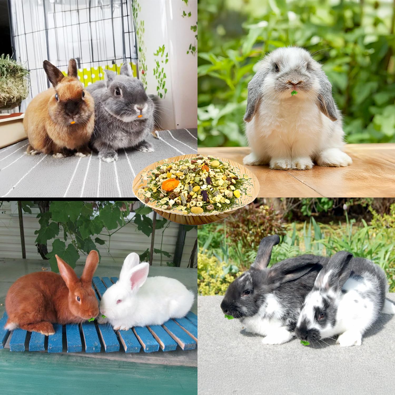 Jiaxix cuenco para mascotas pequeñas, ecológico y práctico para el hogar.
