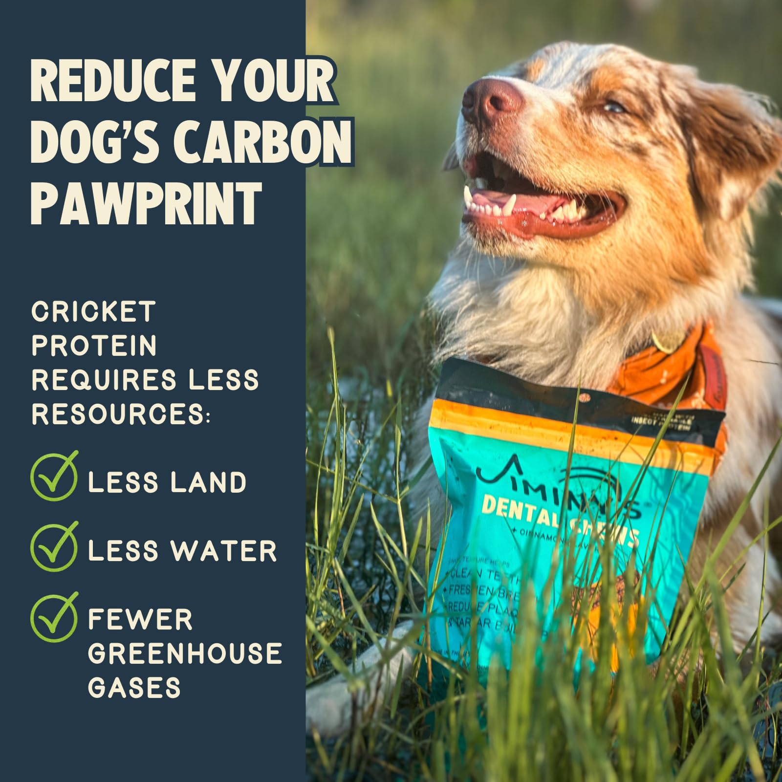 Jiminy's dental chews aptos para perros con alergias