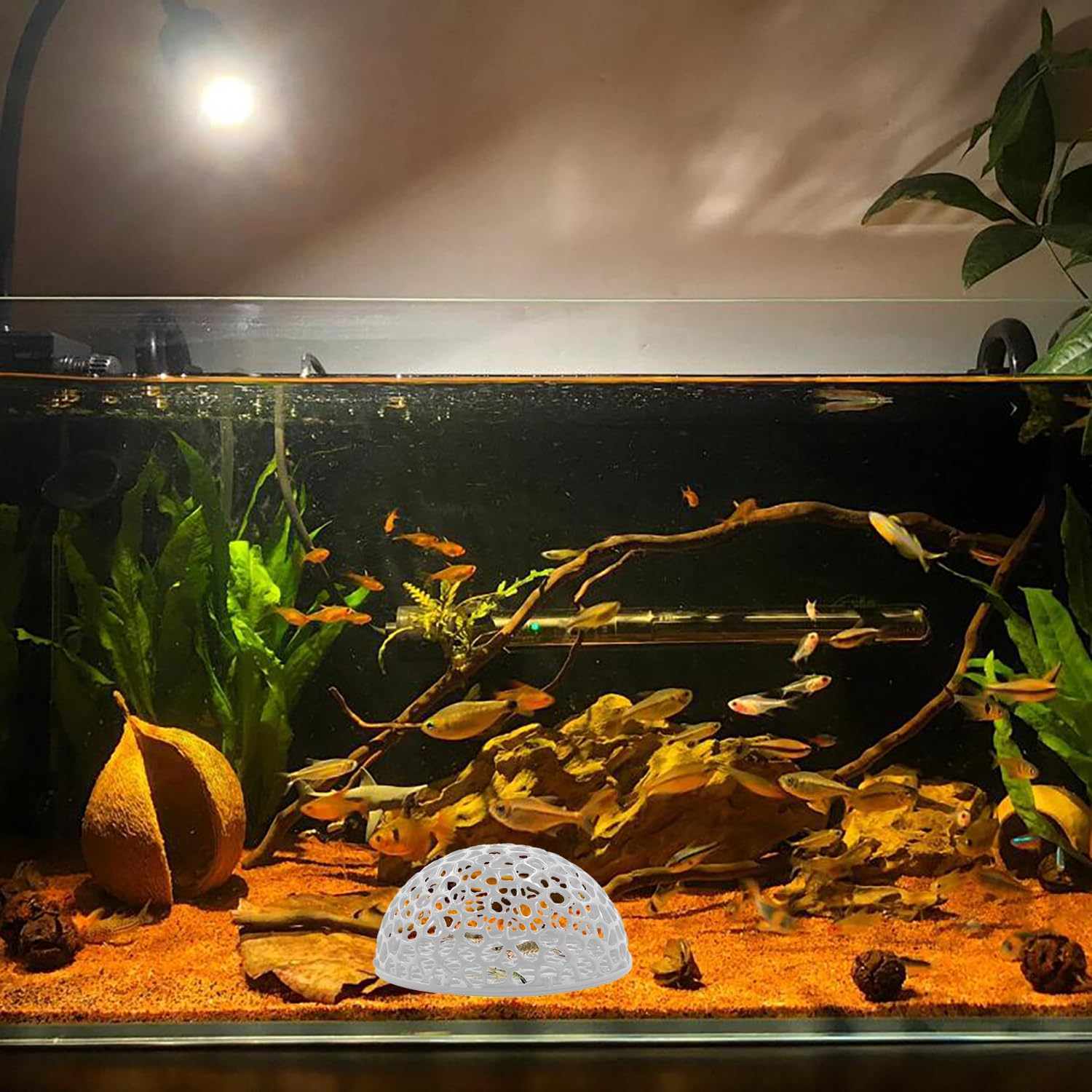 Caverna para acuario JINJUMEI, hábitat para peces pequeños