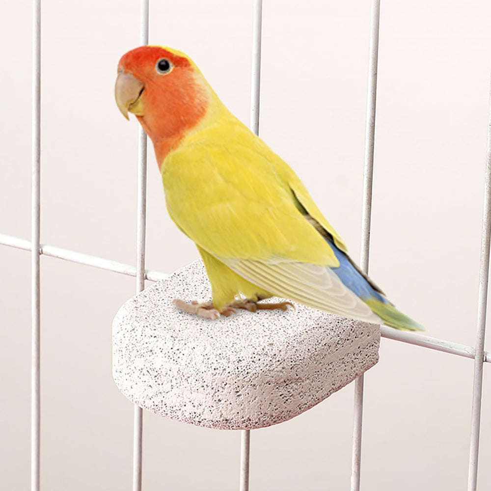 Percha de ejercicio para aves promueve movimiento con JINJUMEI.