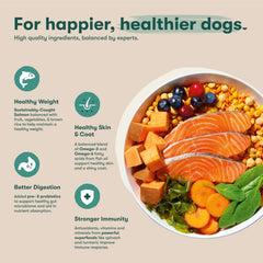 Kibble crujiente de Jinx para perros de todas las edades.