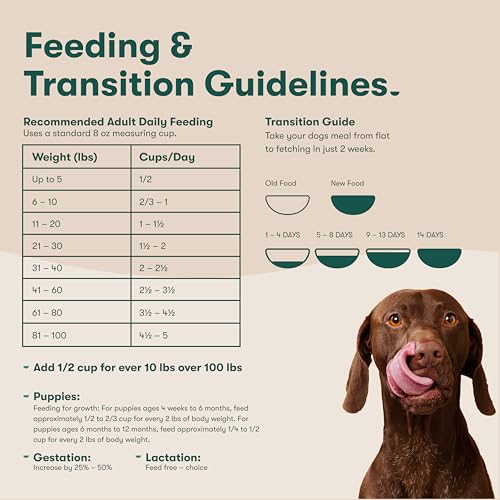 Jinx Premium Dry Dog Food apto para todas las edades y tamaños
