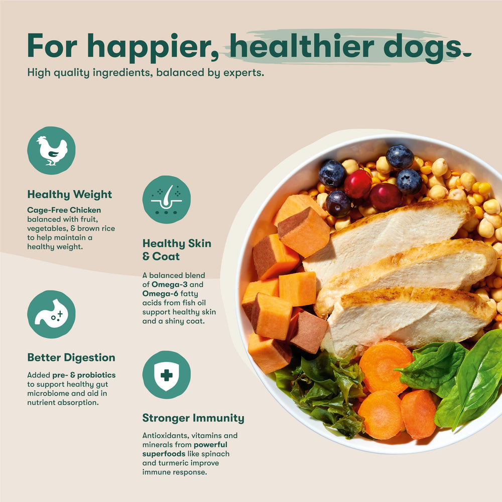 Jinx Premium pollo como primera proteína para músculos saludables.