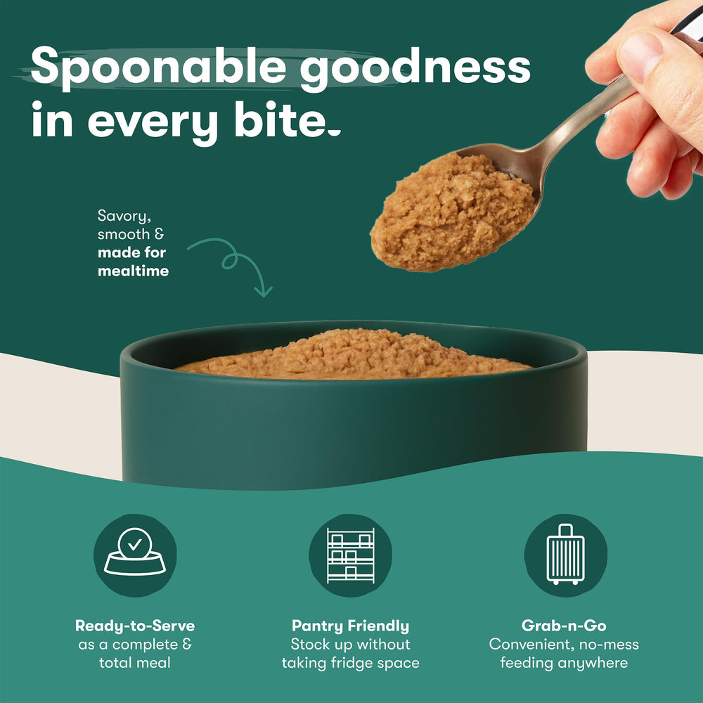 Jinx Premium: servicio en plato con pollo paté para la comida diaria.