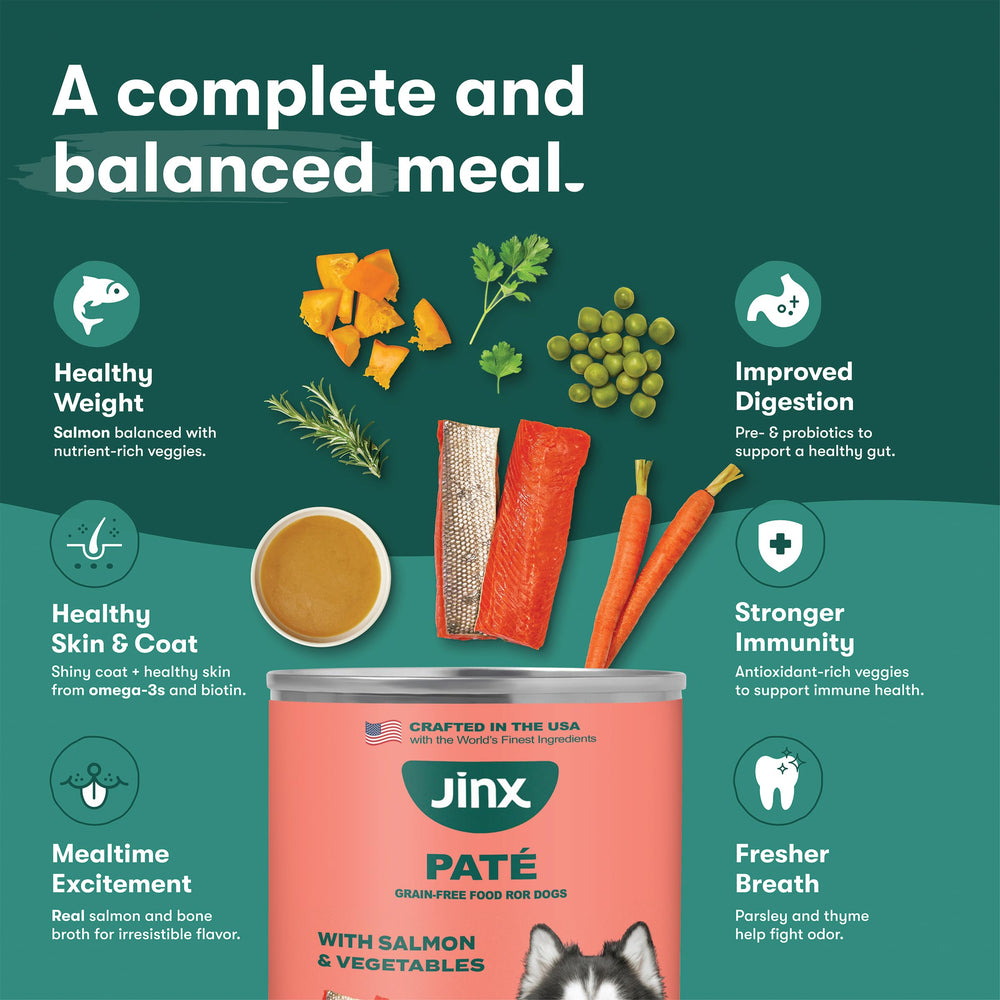 Textura suave del paté de salmón de Jinx para perros exigentes.