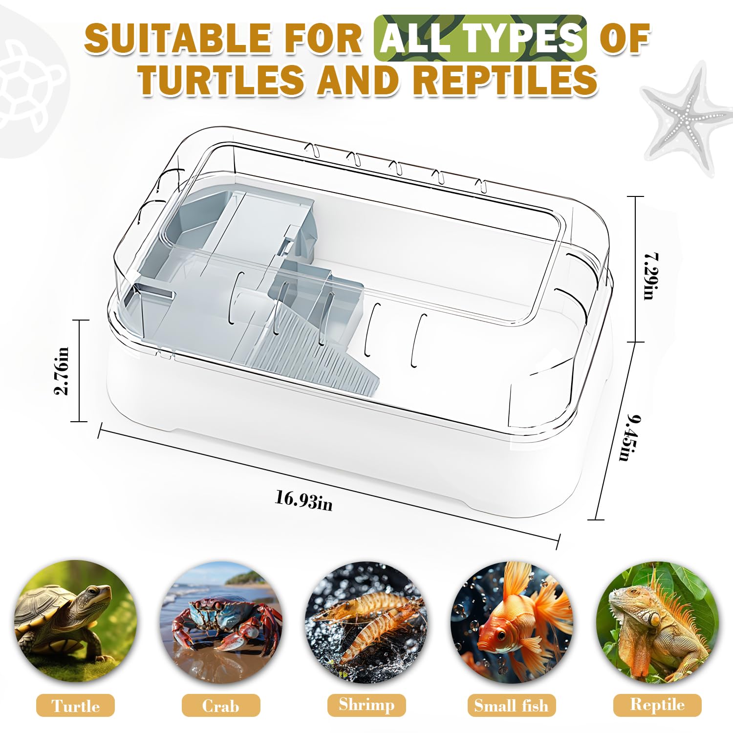 JIURUN tortuga kit acuario decoracion con plantas y piedras