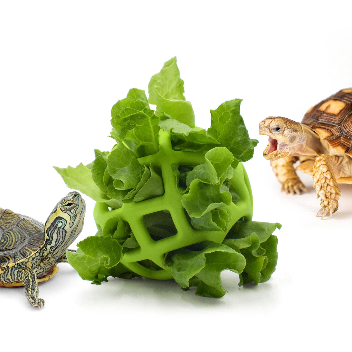 Bola alimentadora JJMOLLE para tortugas en tanque, ideal para incentivar la exploración y el forrajeo.
