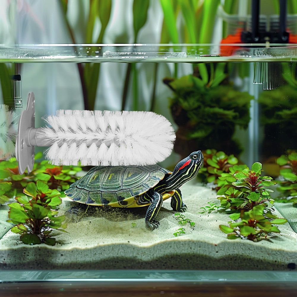 Cepillo JJMOLLE para tortugas con cabezal desmontable, fácil limpieza y almacenamiento