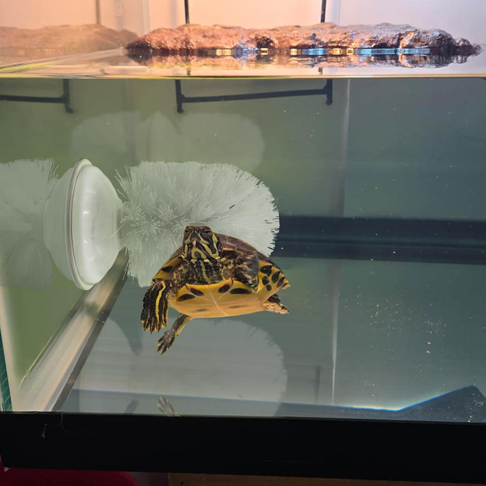 Cerdas suaves JJMOLLE en el cepillo para cuidar el caparazón.