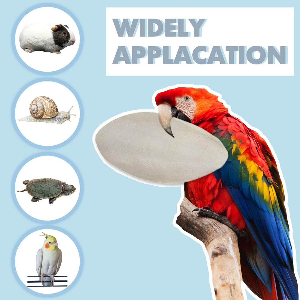Jmxu's Cuttlebone minéral pour oiseaux, soutien global du calcium.