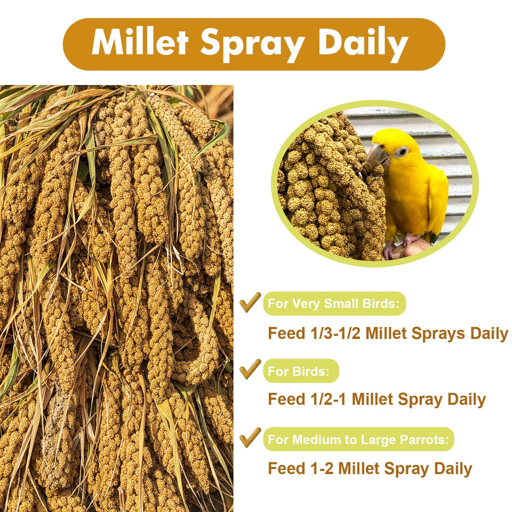 Jmxu's Millet Treat stored in a cool, dry place to maintain freshness.