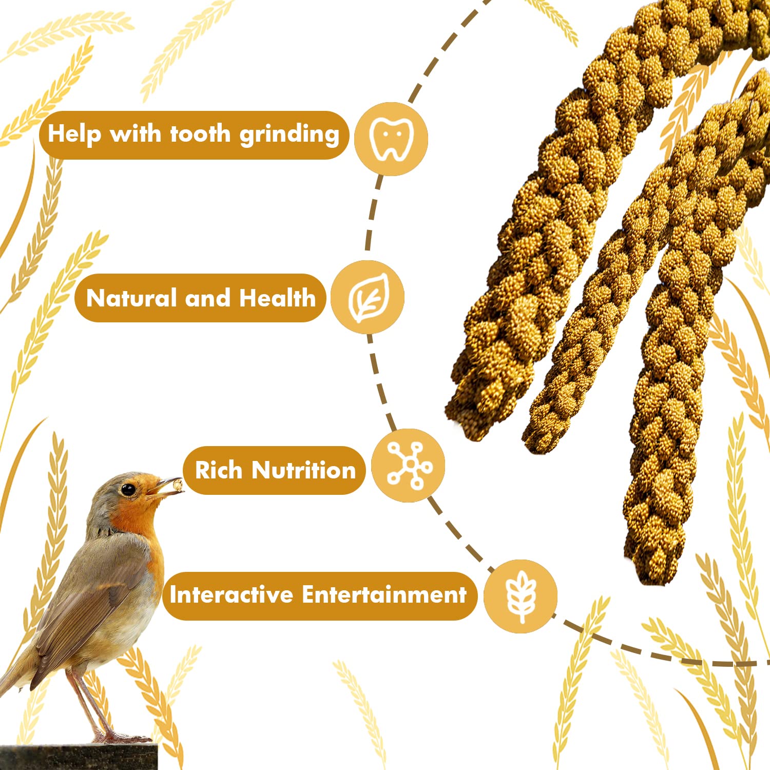 Jmxus mijo para aves proteína alta, avala variedad en la dieta.