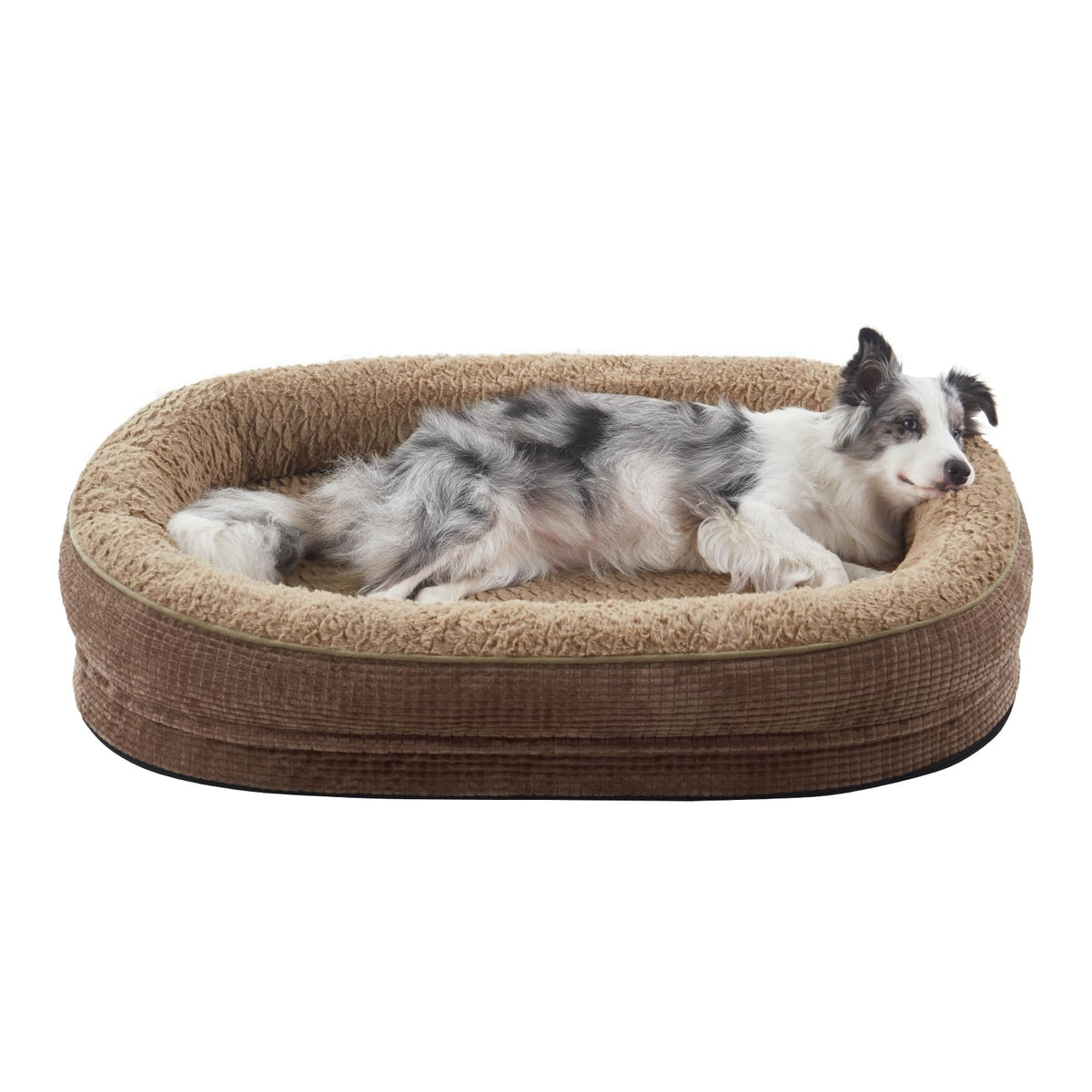 JoeJoy cama ortopédica para perros grandes, visión general de confort y soporte