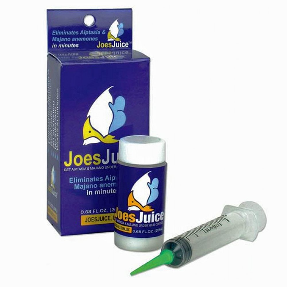 Joe's Juice Eliminador de Aiptasia: botella y aplicador para tratamiento seguro en acuario