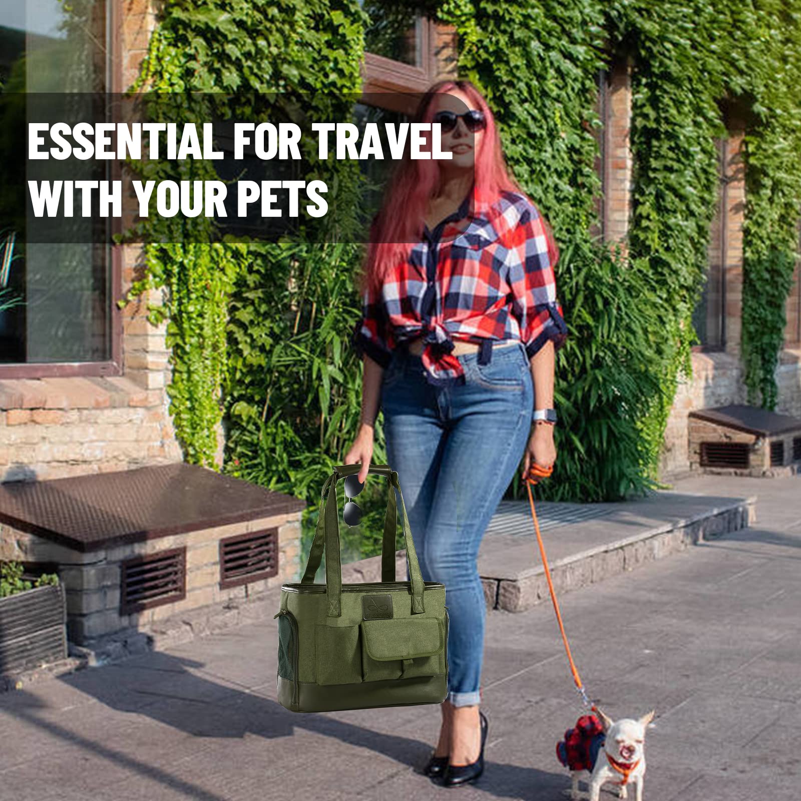 Johomviin transportín, aprobado para aerolíneas, consulta antes de viajar.