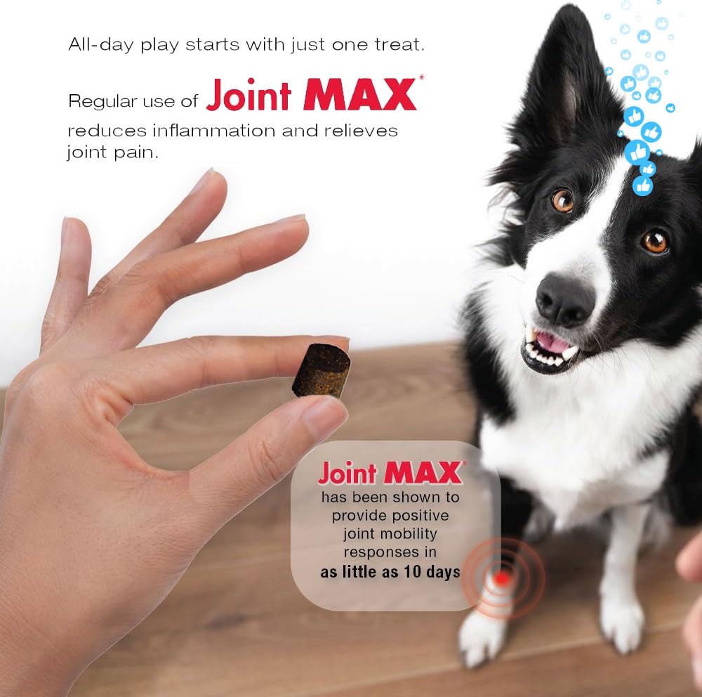 Joint Max TS creatina para energia y fuerza en perros