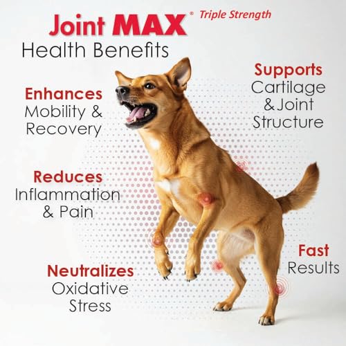 Joint Max TS curcuma apoyo inflamatorio natural para perros