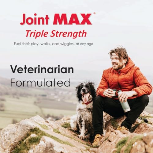 Joint Max TS glucosamina y condroitina para articulaciones saludables