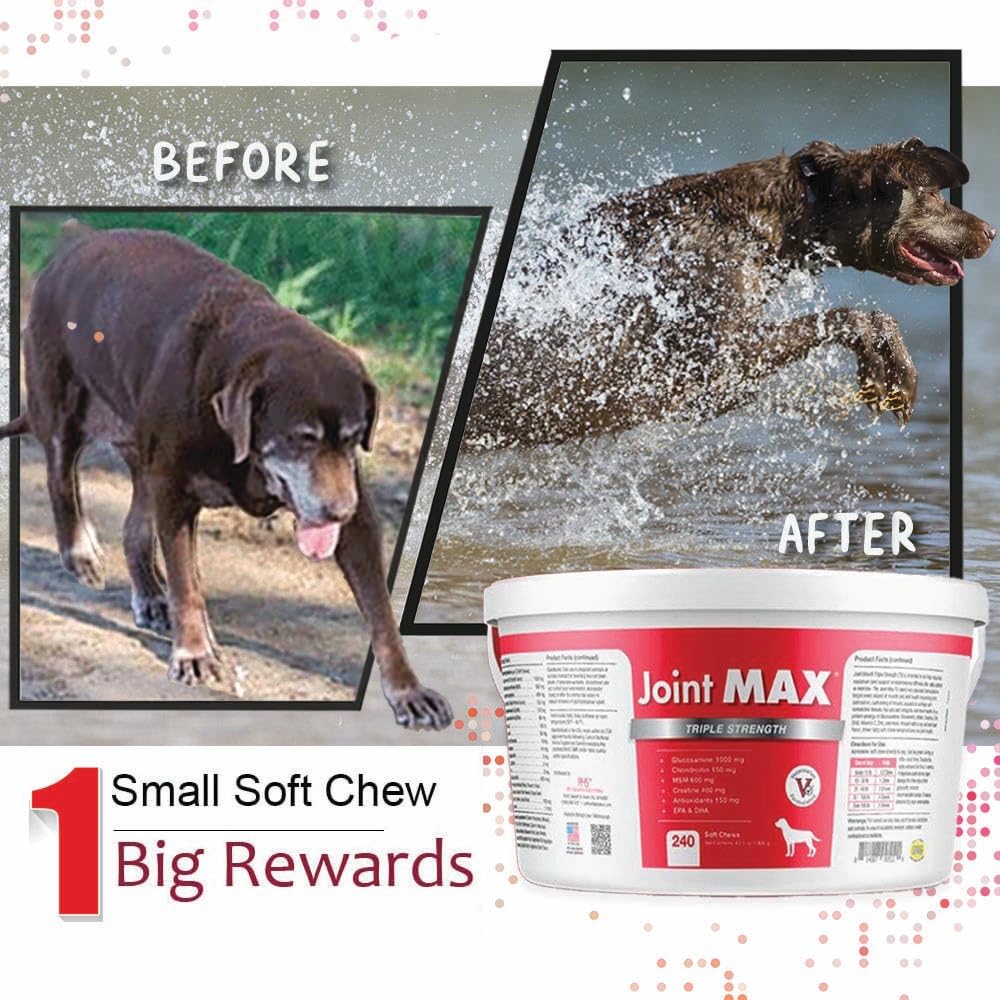 Joint Max TS soporte antiinflamatorio para perros activos