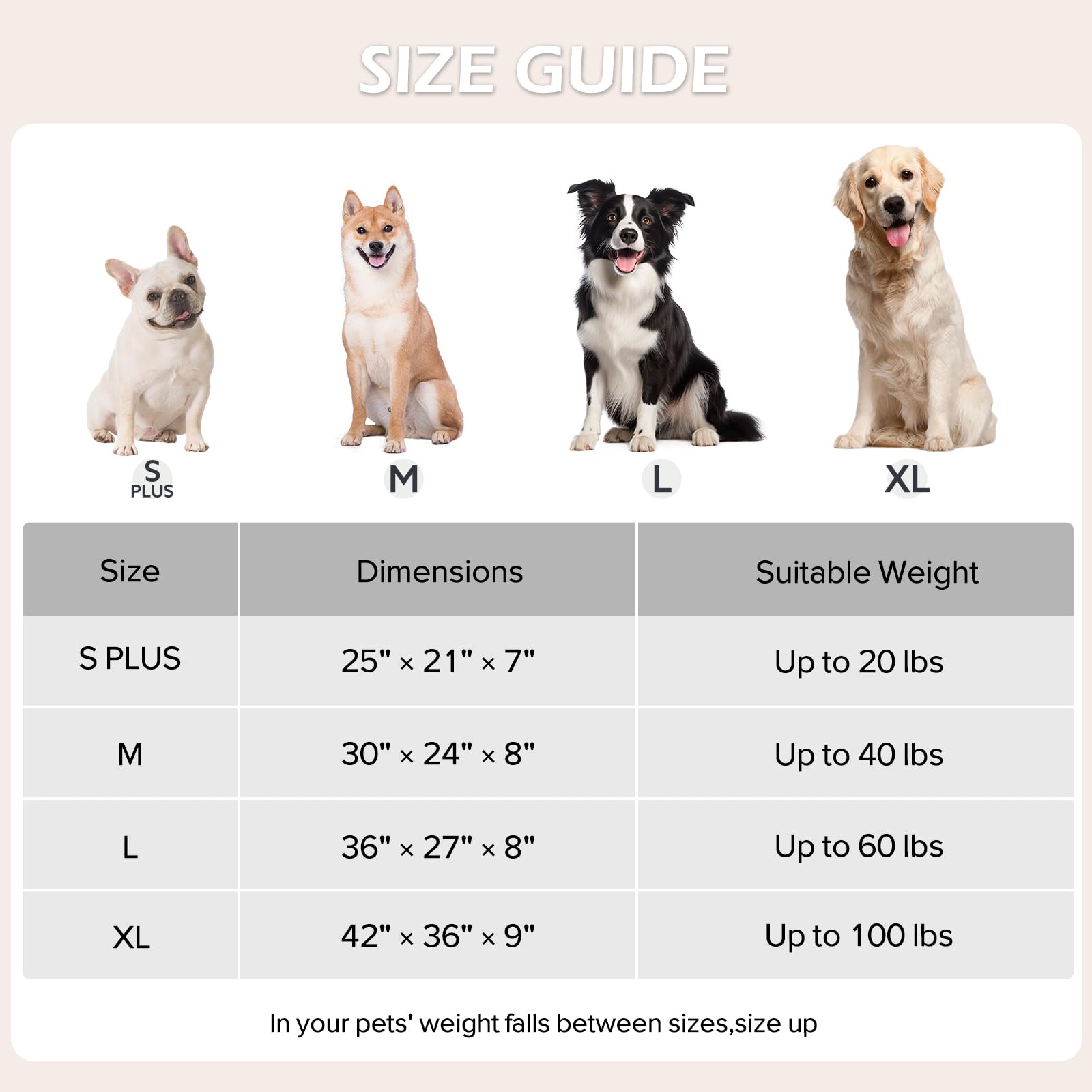 JOEJOY cama para perro mediano base antideslizante; estabilidad al dormir