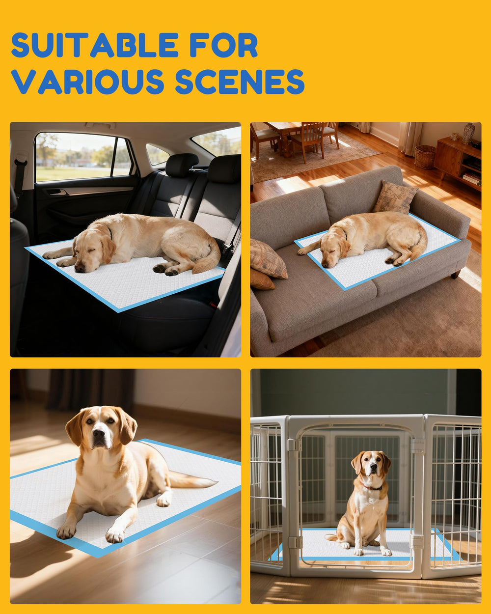 Jolly Care: alfombrilla multiusos para perros y mascotas en casa.