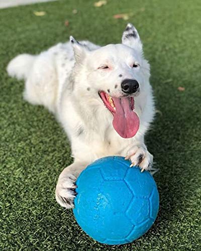 Balón Jolly Pets con resistencia JollyFlex, diseño duradero.