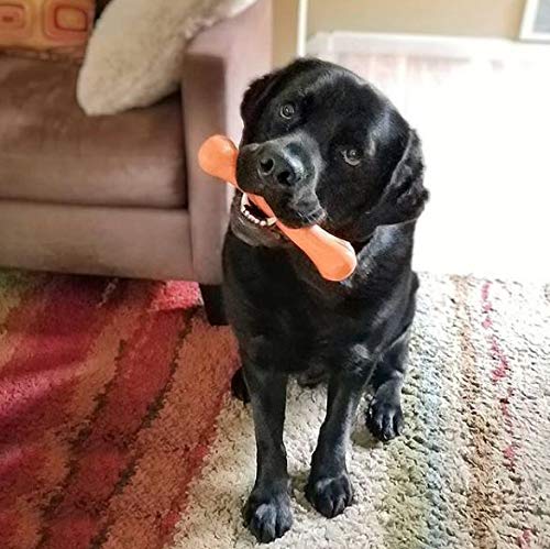 Jolly Bone flota, ideal para juegos de recuperación en agua.